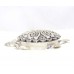 Sterling Silver 925 tortoise traditional hand engraved W 675